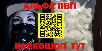СК Новозыбков