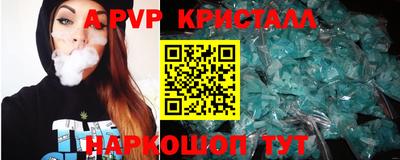 СК Новозыбков