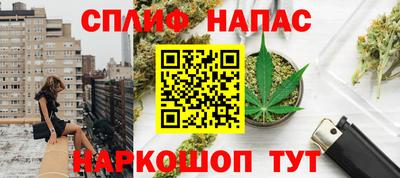 СК Новозыбков