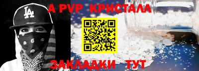 СК Новозыбков